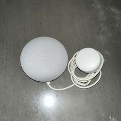 Google Mini Home