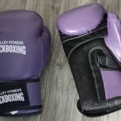 Kickboxing Boxing Gloves
