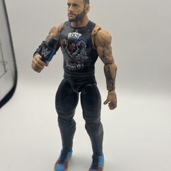 WWE Action Figure 