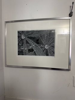Framed Black & White Nature Photography Print