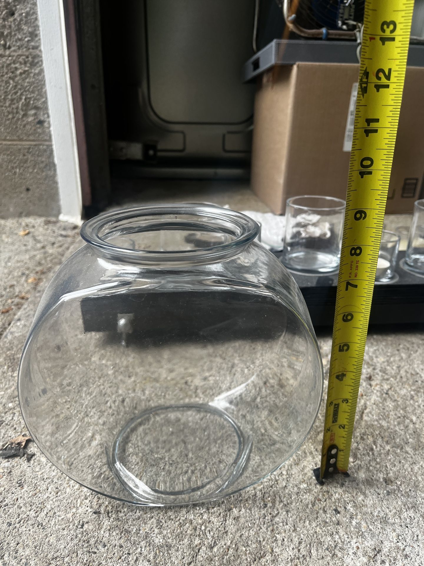Fish Bowl