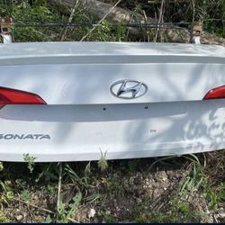 Hyundai Sonata ( Tailgate / Trunk Lid )