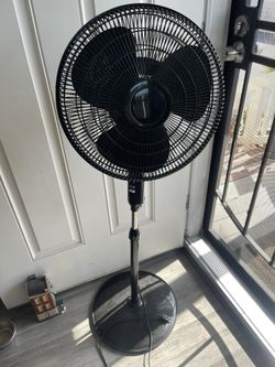 Fan