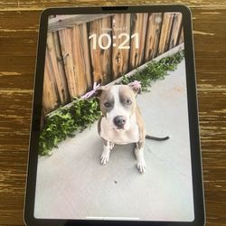 Ipad air 4th generation
