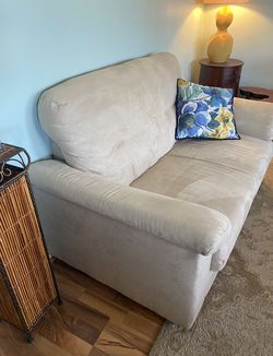 Comfy Fur Material Loveseat