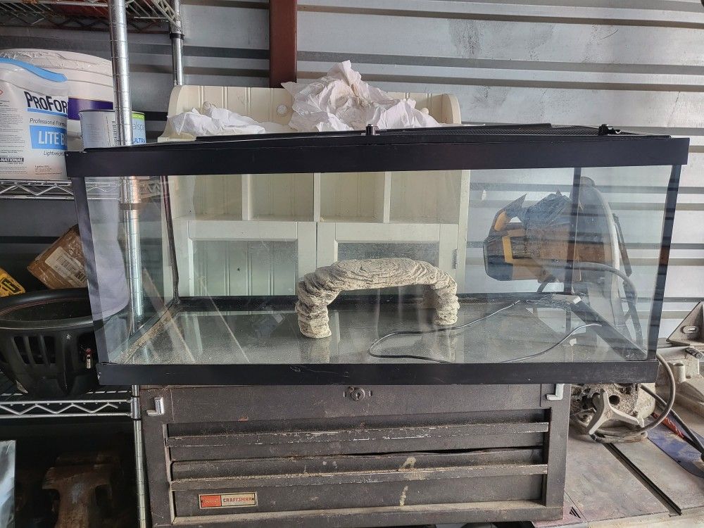 Fish Tank