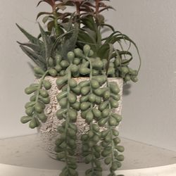 Fake Plant 