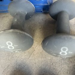 8lb Weight
