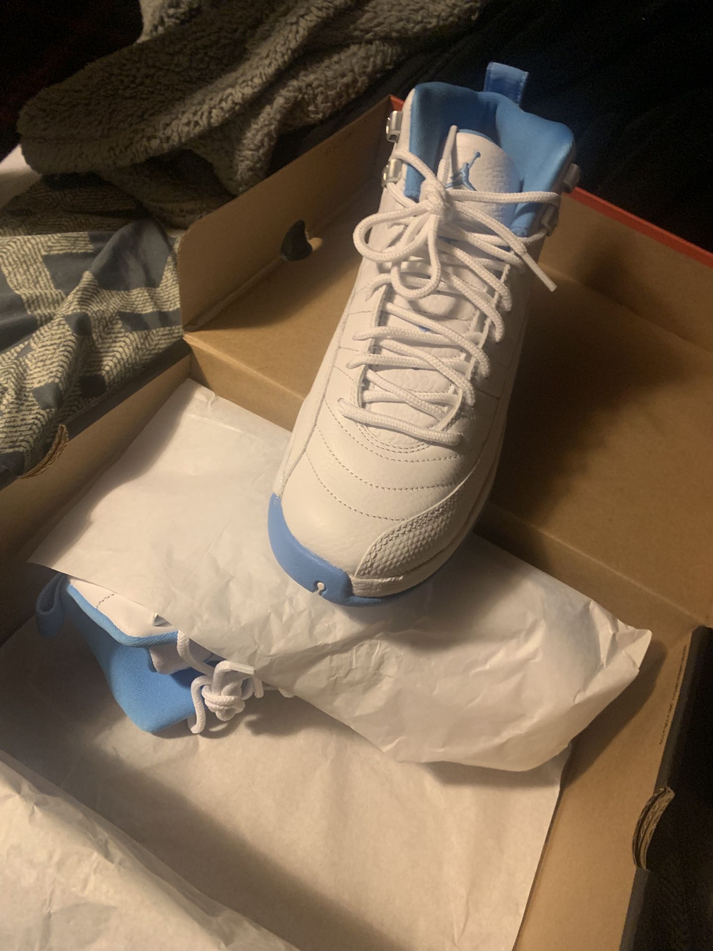 Air Jordan 12 Retro GS