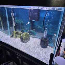 25 Gallon Glass Fish Tank 