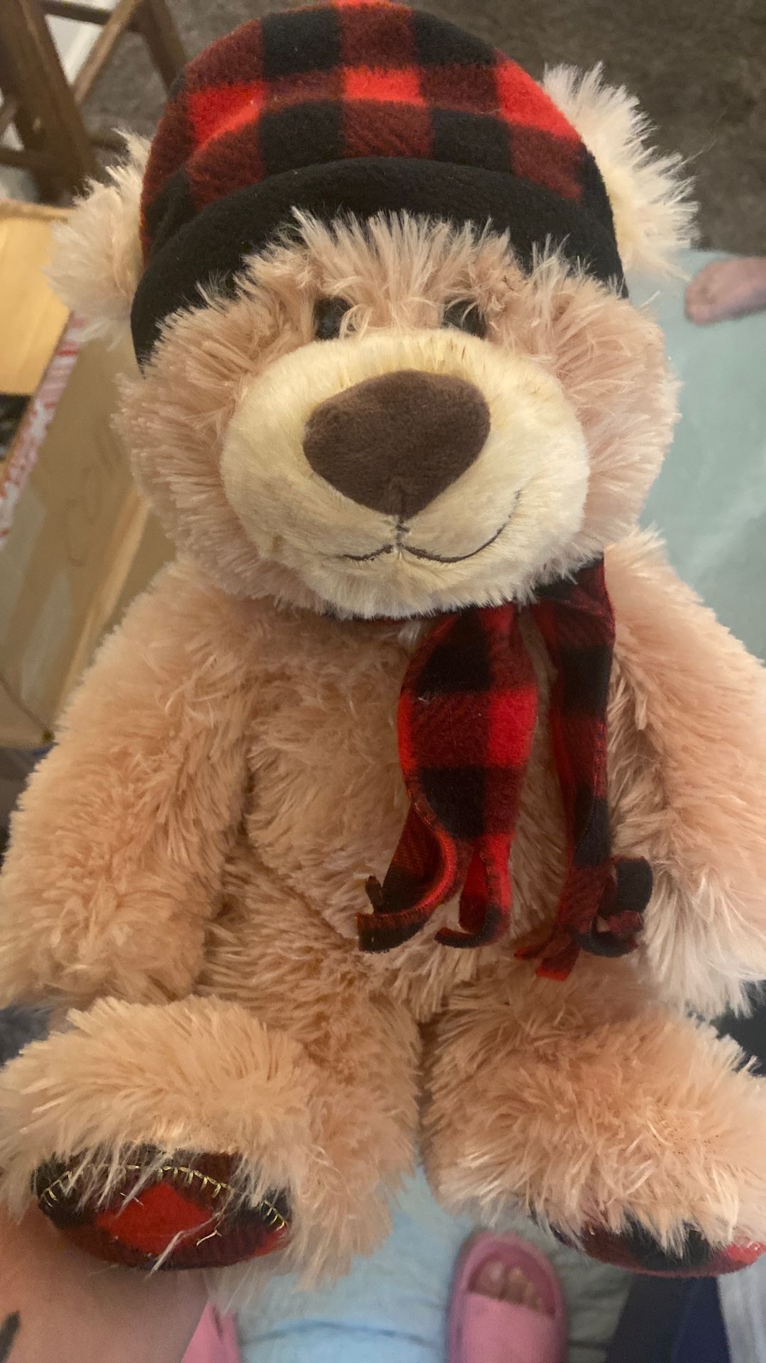 Mary Meyer Bear