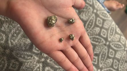 5 gold nuggets