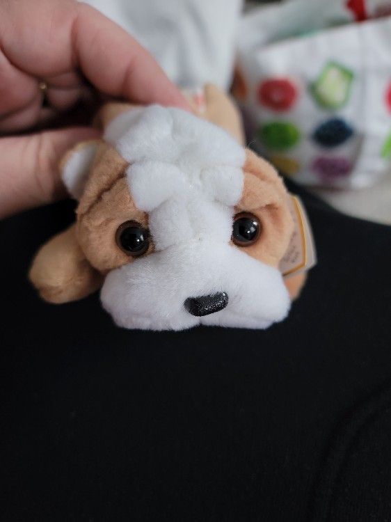 Ultra Rare Beanie Baby Wrinkles