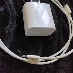 Apple Type C To  Lightning  High-speed Cord And Adapter 