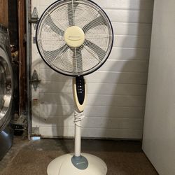Stand Up Fan 