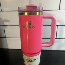 Stanley 30oz Pink Parade
