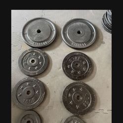Weight Plates.         65 Dollars 