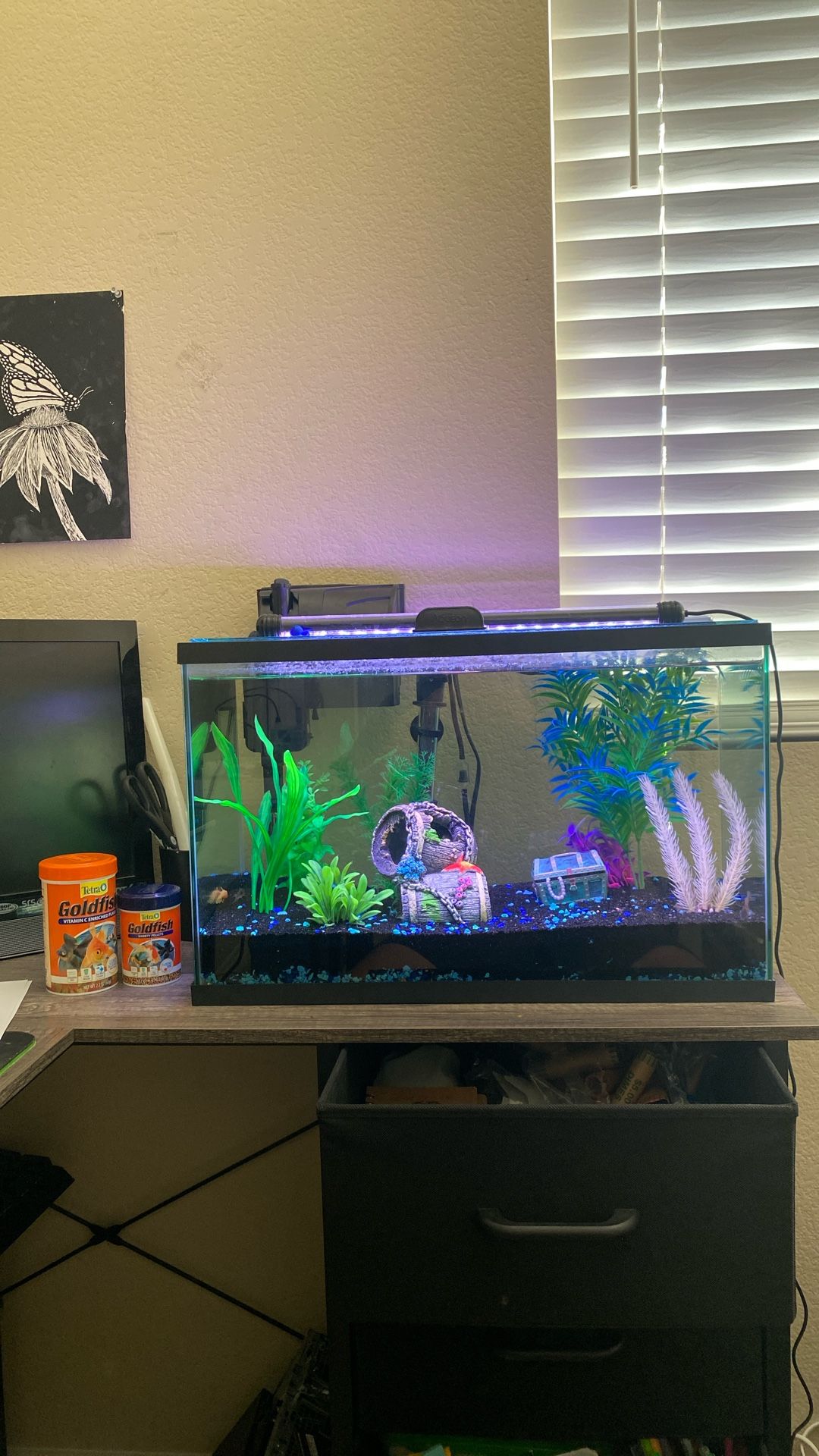 Fish Tank
