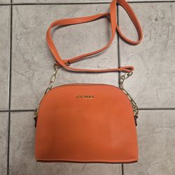 Steve Madden Purse