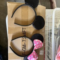 Mickey & Minnie Ears