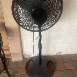 Fan    Abanico