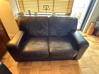 Leather Loveseat and Sofa bed