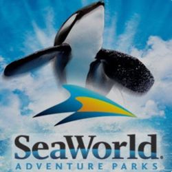 SeaWorld Orlando 