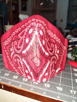 Red Bandana Face Mask