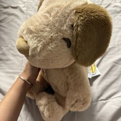Snoopy Brown Plush (RARE)