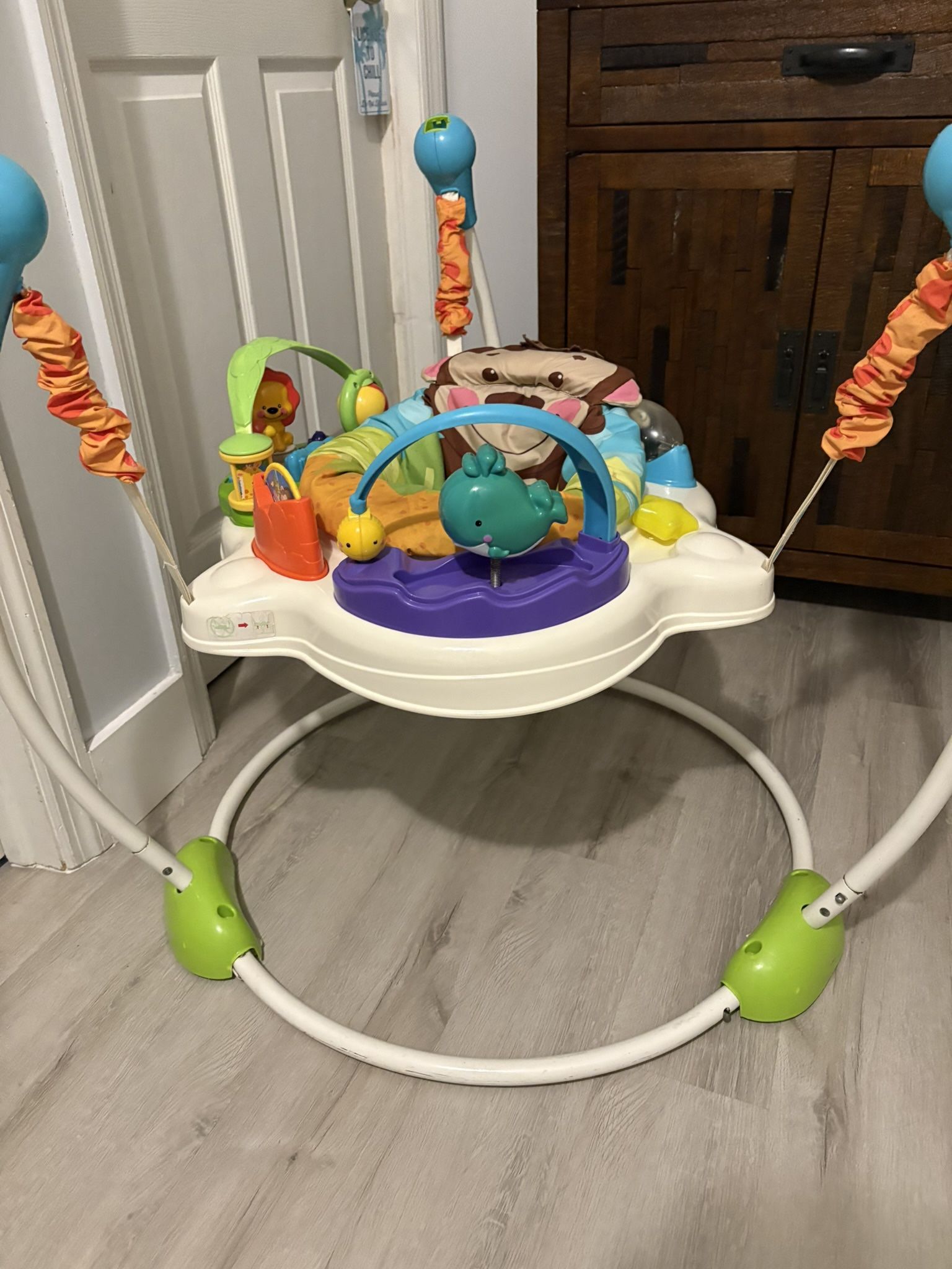 Baby Bouncer