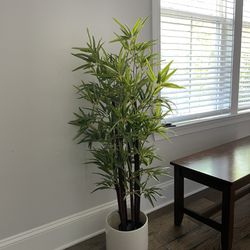 50’’ Faux bamboo Plant + Pot