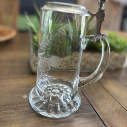 Beautiful Vintage Cut Etched Glass Beer Stein 