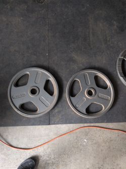 2 45 lb Plates