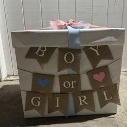Gender Reveal Box
