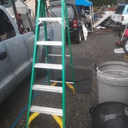6 Foot Werner Ladder