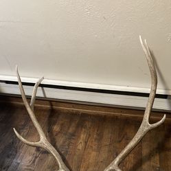 Elk Rack