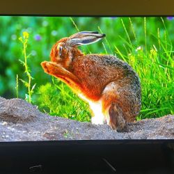 LG OLED 48 A2PUA TV