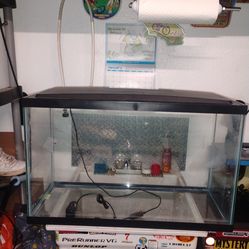 29 gallon fish tank