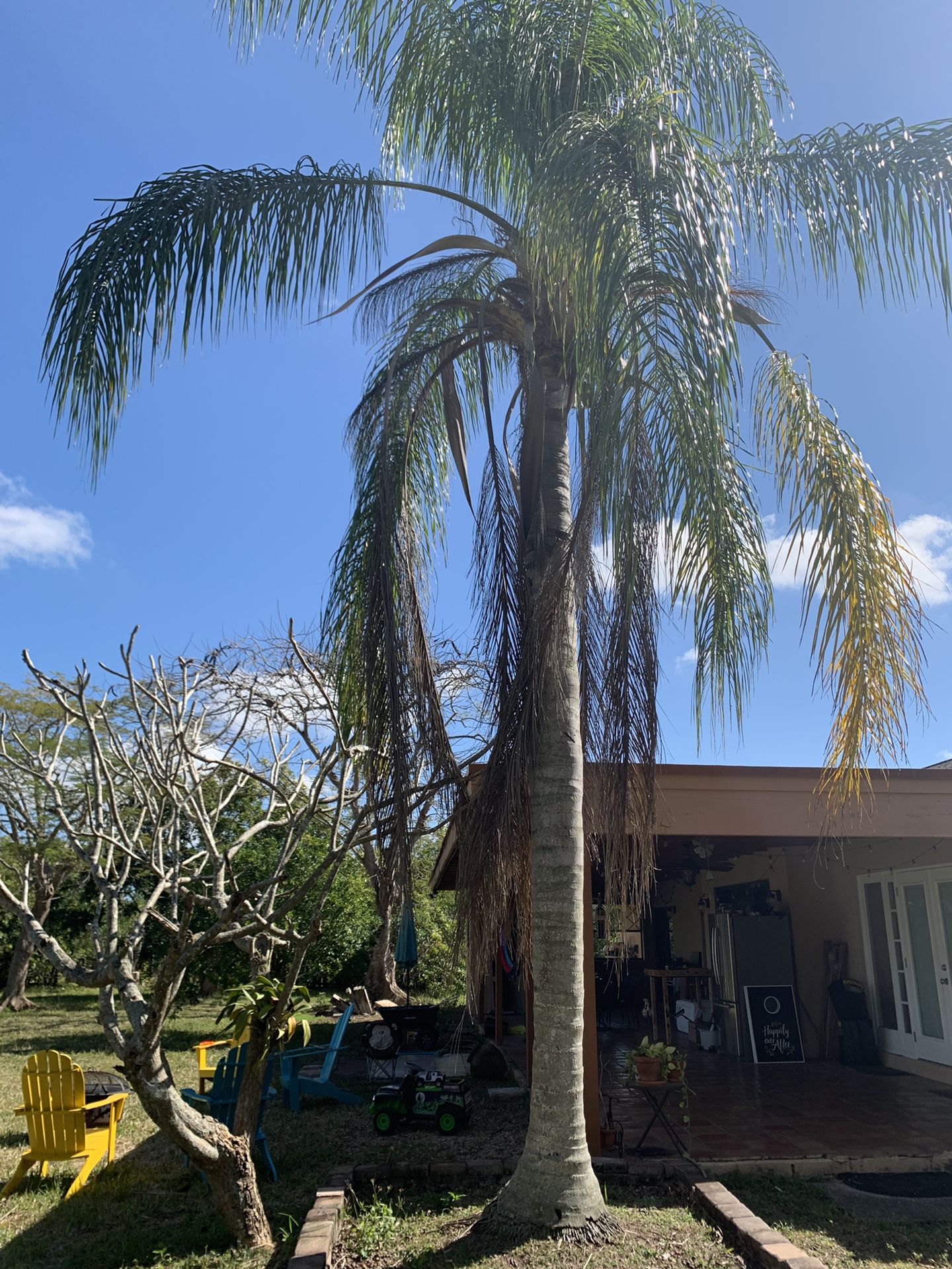 Royal Palms for sale or trade for Sale in Homestead, FL OfferUp