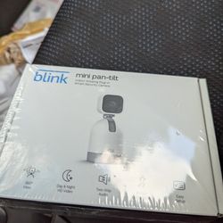 Blink Mini Cam