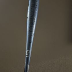 Bat + Bucket Of Baseballs