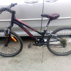 Infinity Crazy Horse HT24