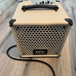 Dv Mark Little Jazz Amp