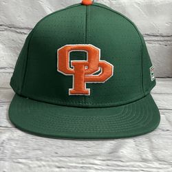 THE GAME Men's Raiders Logo Green Baseball Hat Size 7 1/4 
