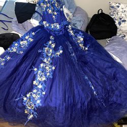 Quinceañera Dress (sweet 15th Dress)
