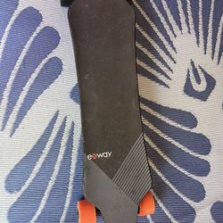 Exway Electric Longboard 