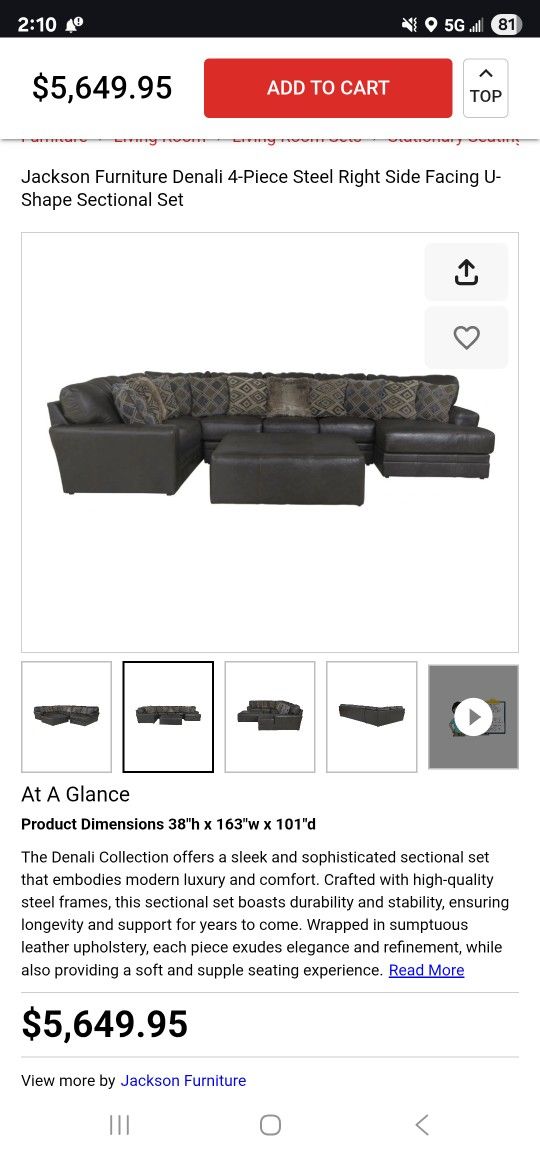 Sectional Couch