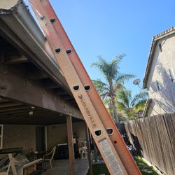 20 Foot Extension Ladder