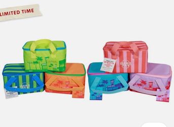 Trader Joe’s mini insulated tote bag