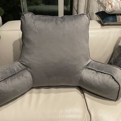 2 NEW back Pillows 